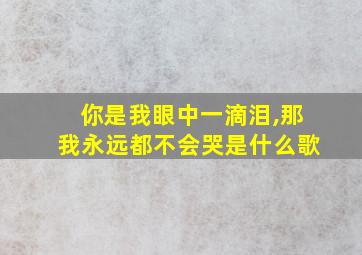 你是我眼中一滴泪,那我永远都不会哭是什么歌