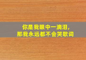 你是我眼中一滴泪,那我永远都不会哭歌词