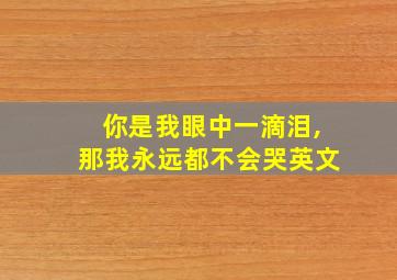 你是我眼中一滴泪,那我永远都不会哭英文