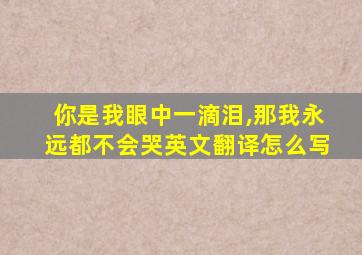 你是我眼中一滴泪,那我永远都不会哭英文翻译怎么写