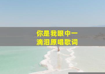 你是我眼中一滴泪原唱歌词