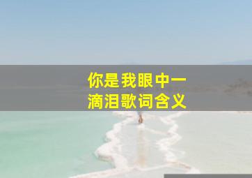 你是我眼中一滴泪歌词含义