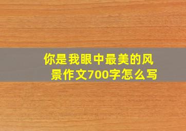 你是我眼中最美的风景作文700字怎么写