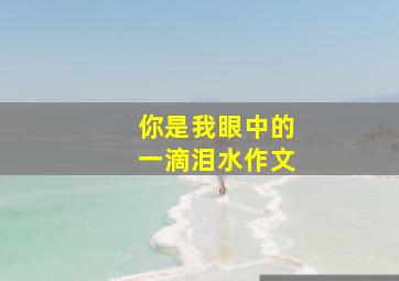 你是我眼中的一滴泪水作文