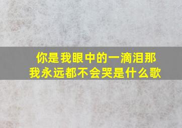 你是我眼中的一滴泪那我永远都不会哭是什么歌