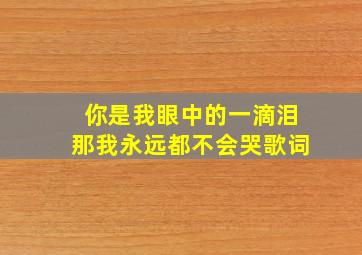 你是我眼中的一滴泪那我永远都不会哭歌词