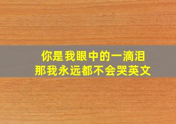 你是我眼中的一滴泪那我永远都不会哭英文