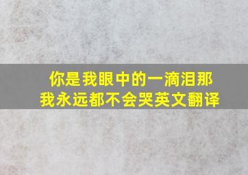 你是我眼中的一滴泪那我永远都不会哭英文翻译