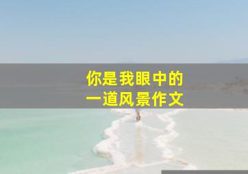 你是我眼中的一道风景作文