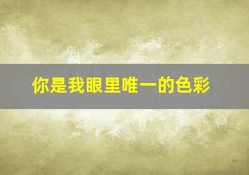 你是我眼里唯一的色彩