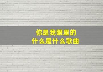 你是我眼里的什么是什么歌曲