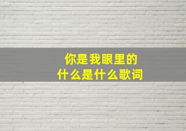 你是我眼里的什么是什么歌词