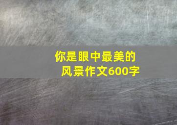 你是眼中最美的风景作文600字