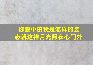 你眼中的我是怎样的姿态就这样月光照在心门外