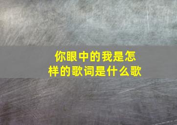 你眼中的我是怎样的歌词是什么歌