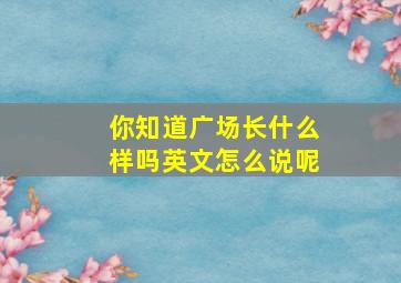 你知道广场长什么样吗英文怎么说呢