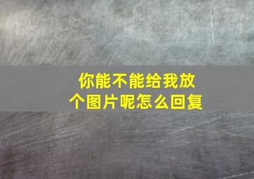 你能不能给我放个图片呢怎么回复