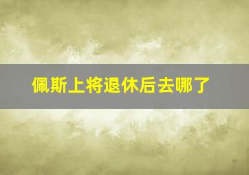 佩斯上将退休后去哪了