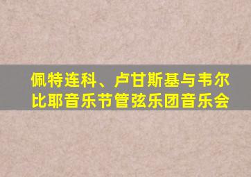 佩特连科、卢甘斯基与韦尔比耶音乐节管弦乐团音乐会