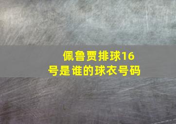 佩鲁贾排球16号是谁的球衣号码