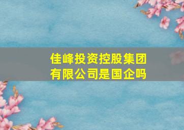 佳峰投资控股集团有限公司是国企吗