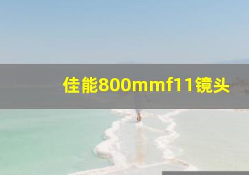 佳能800mmf11镜头