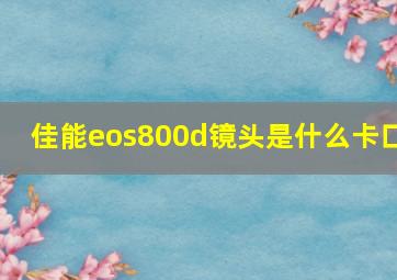 佳能eos800d镜头是什么卡口