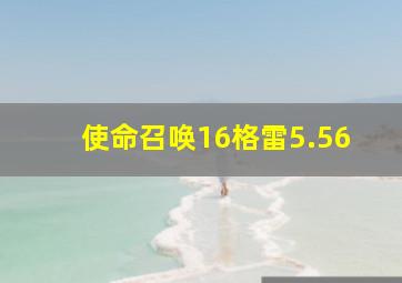 使命召唤16格雷5.56