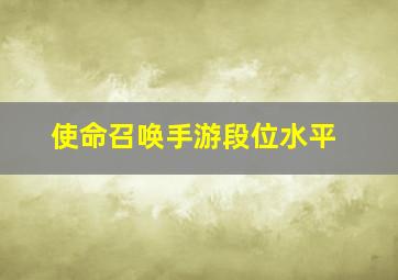 使命召唤手游段位水平