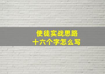 使徒实战思路十六个字怎么写