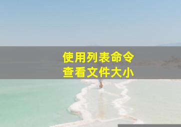 使用列表命令查看文件大小