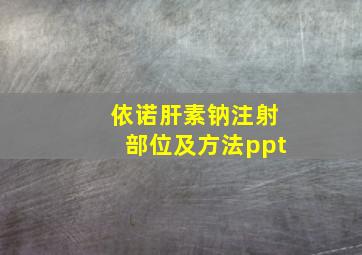 依诺肝素钠注射部位及方法ppt