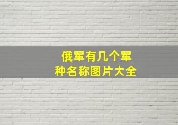 俄军有几个军种名称图片大全