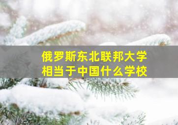 俄罗斯东北联邦大学相当于中国什么学校