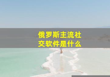 俄罗斯主流社交软件是什么