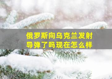 俄罗斯向乌克兰发射导弹了吗现在怎么样