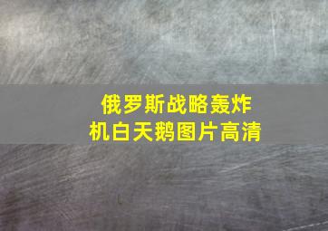 俄罗斯战略轰炸机白天鹅图片高清