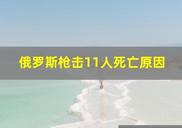 俄罗斯枪击11人死亡原因