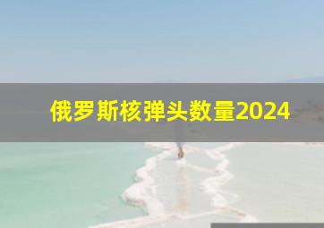 俄罗斯核弹头数量2024