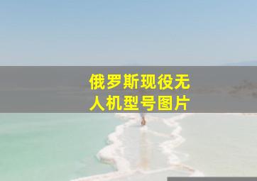 俄罗斯现役无人机型号图片