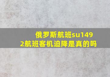 俄罗斯航班su1492航班客机迫降是真的吗