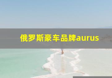 俄罗斯豪车品牌aurus