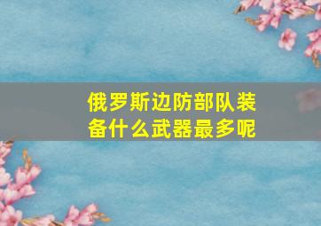 俄罗斯边防部队装备什么武器最多呢