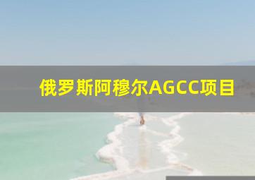 俄罗斯阿穆尔AGCC项目