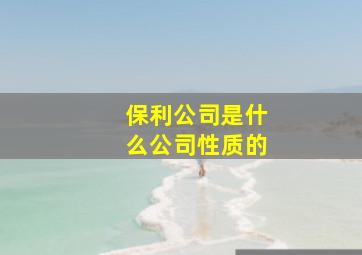 保利公司是什么公司性质的