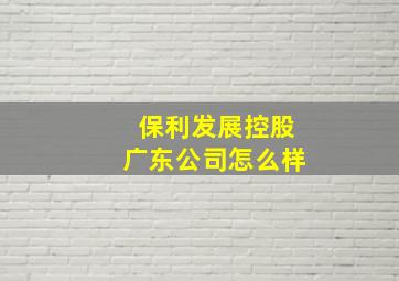 保利发展控股广东公司怎么样