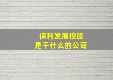 保利发展控股是干什么的公司