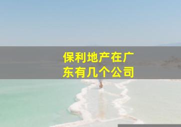 保利地产在广东有几个公司