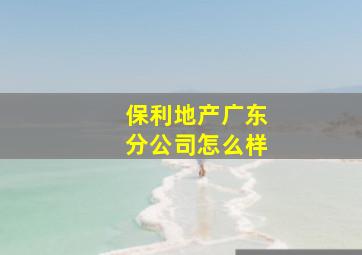 保利地产广东分公司怎么样