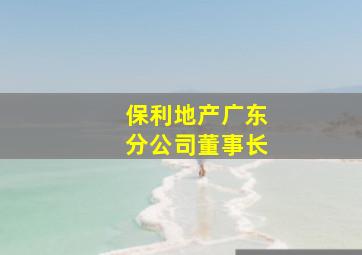 保利地产广东分公司董事长